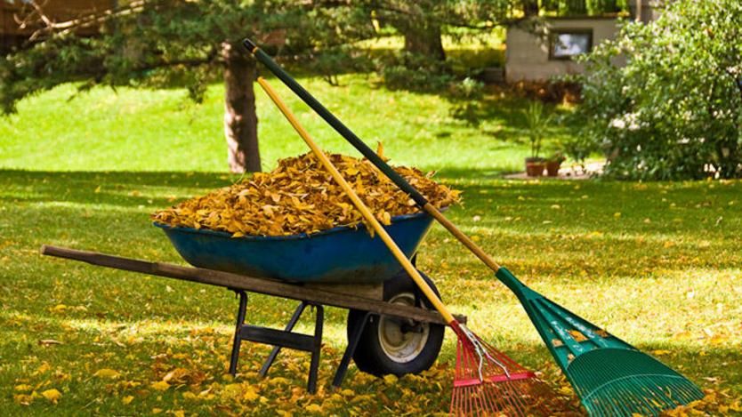 best Yard Waste Removal Services in tucson arizona